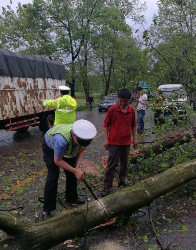车辆在桥下躲冰雹致堵车违法吗？真相揭秘与应对指南