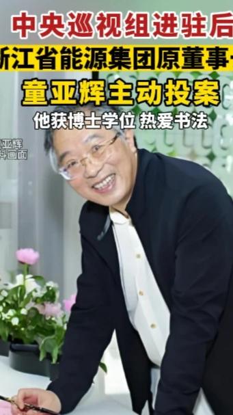 中央巡视组进驻后 童亚辉主动投案：反腐风暴下的震撼抉择