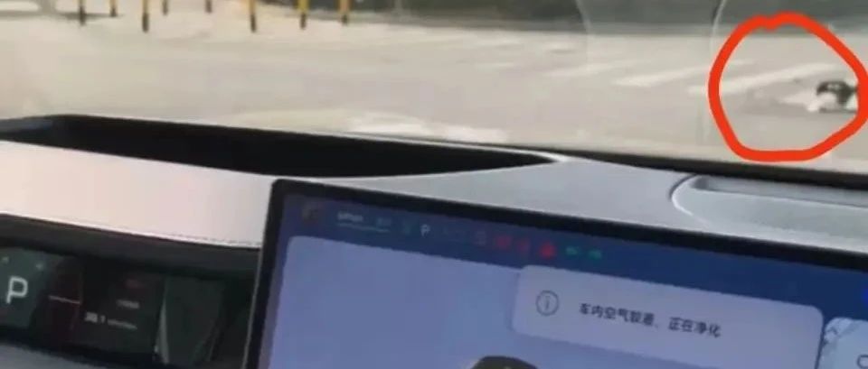 盲人体验小米汽车致手指骨折