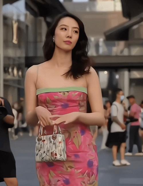 没人能包庇董小姐