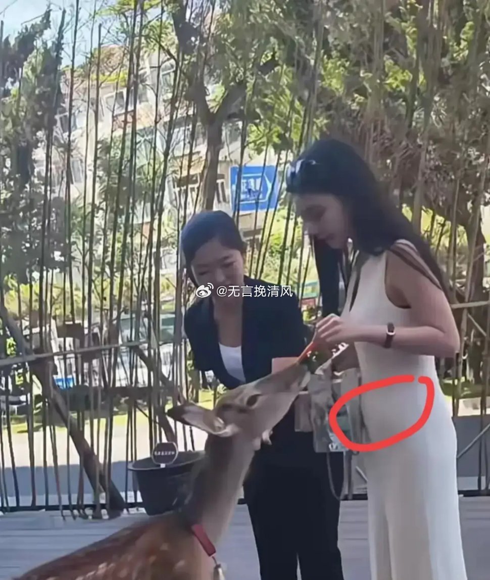 曝马筱梅已怀孕 刚怀不久