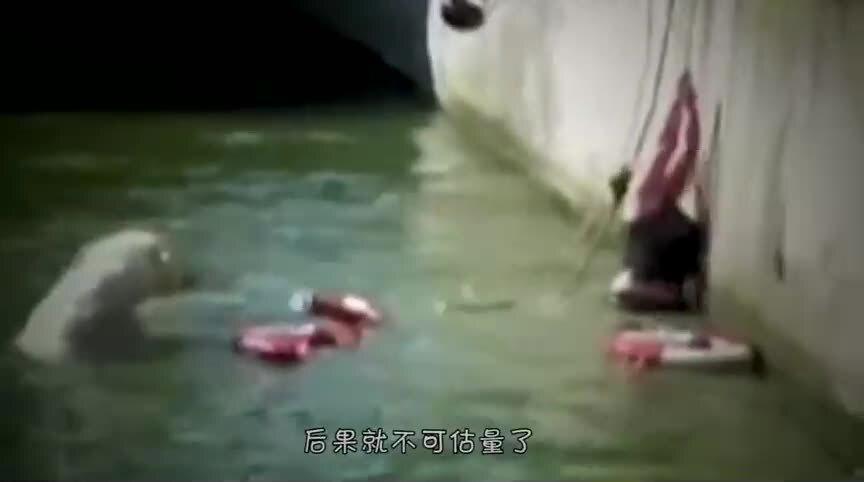 男子喂食人鱼被咬掉手指无奈接脚趾
