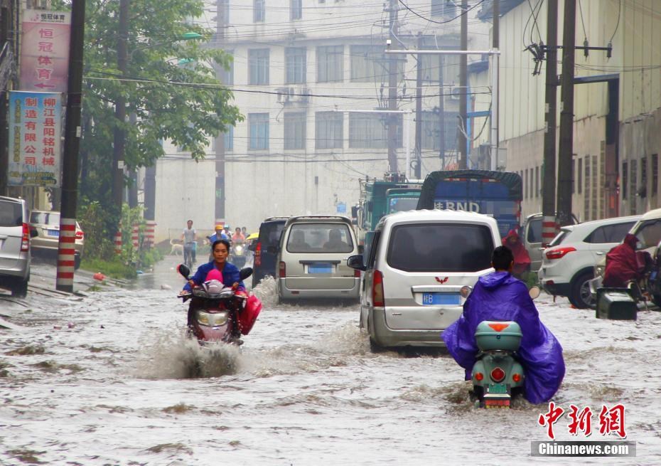 广西暴雨稻田成河