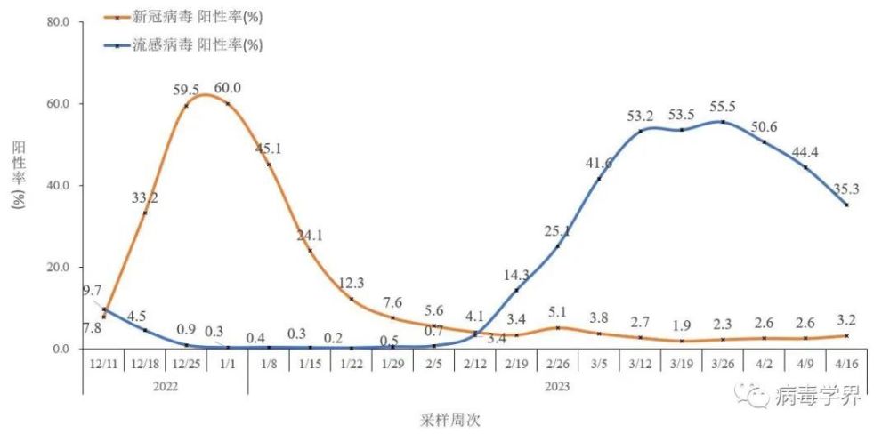 新冠阳性率快速上升