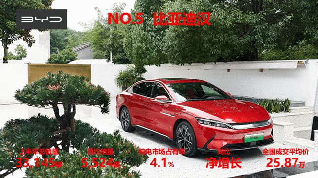 2025年Q1纯电汽车销量榜TOP10