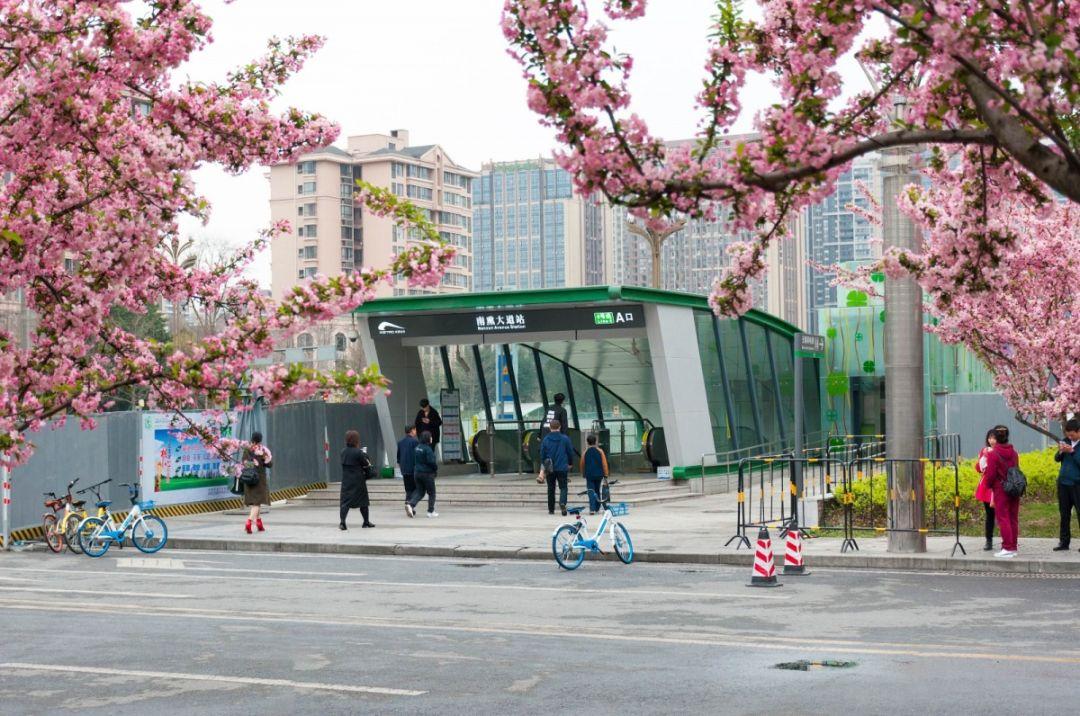成都为何是中国最具幸福感的城市？揭秘这座慢生活之都的独特魅力！