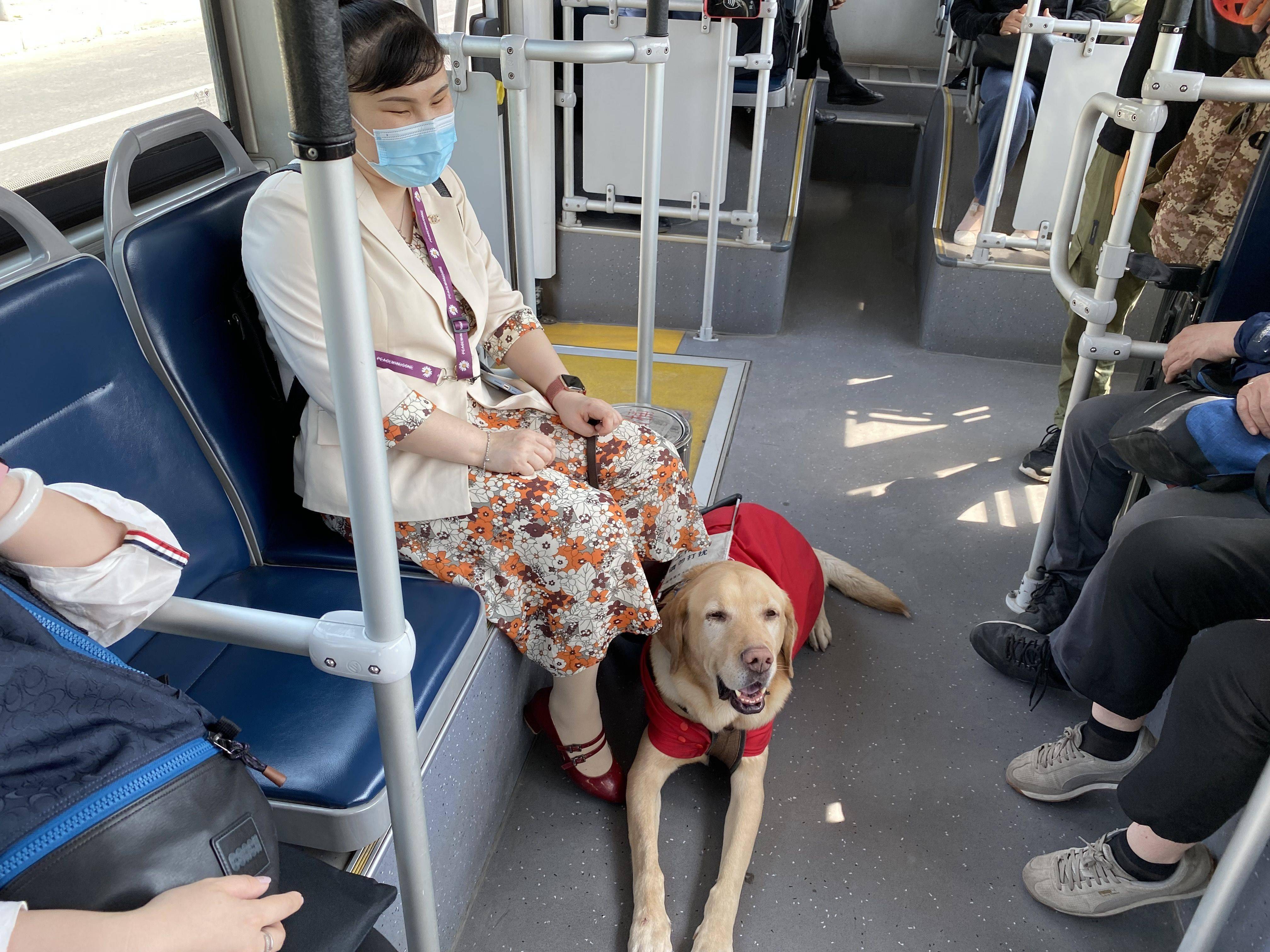 震撼体验！第一次坐上会导盲的公交车，盲人出行迎来革命性突破
