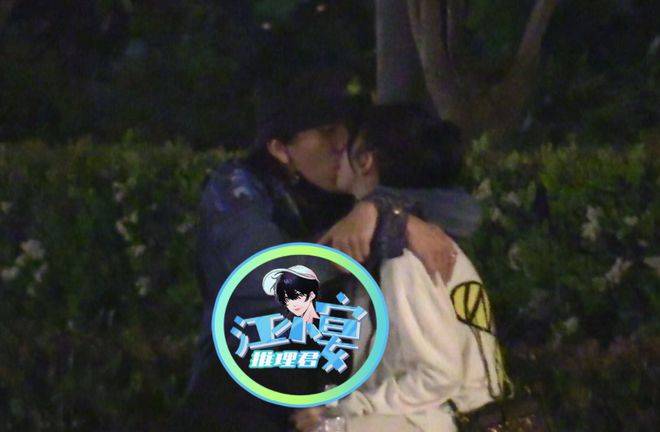 震惊！海狮疑遭驯养师踢打，背后真相令人心碎！