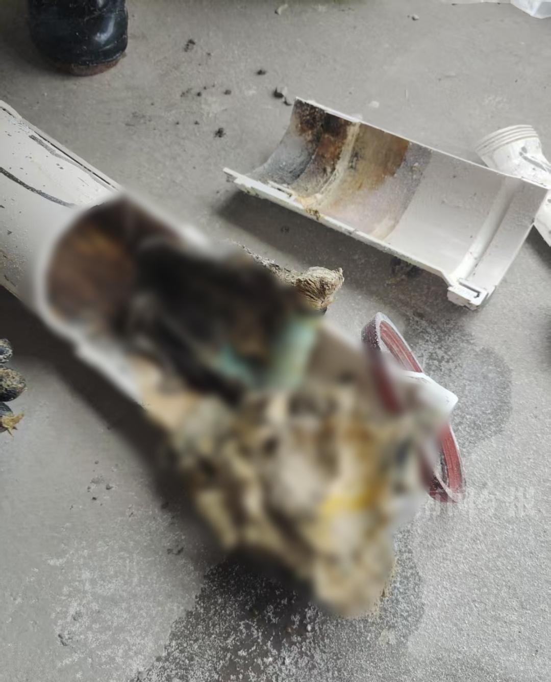 "婚房被粪水浸泡 业主崩溃"：新房变"粪池"的维权之路有多难？